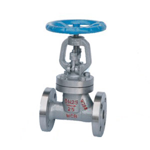 ����ʽ��ֹ��