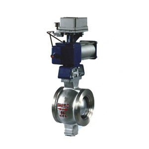 ZSSV����V����