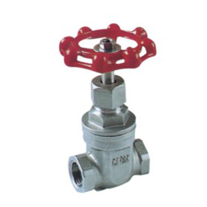 �����˿��բ��