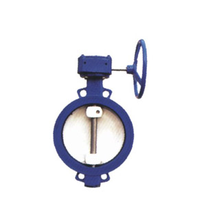 D371X-10�Լ�����ʽ����